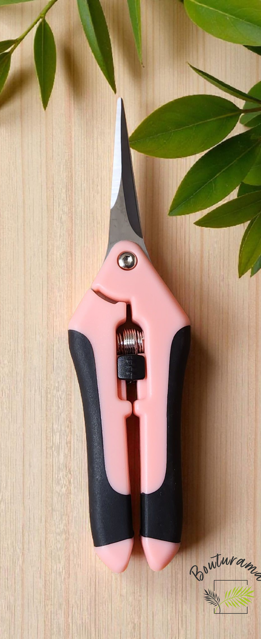 Ciseau à plante - Rose