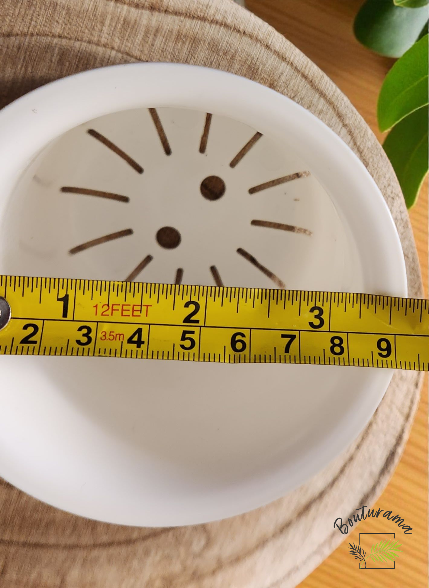 3-inch self-watering pot