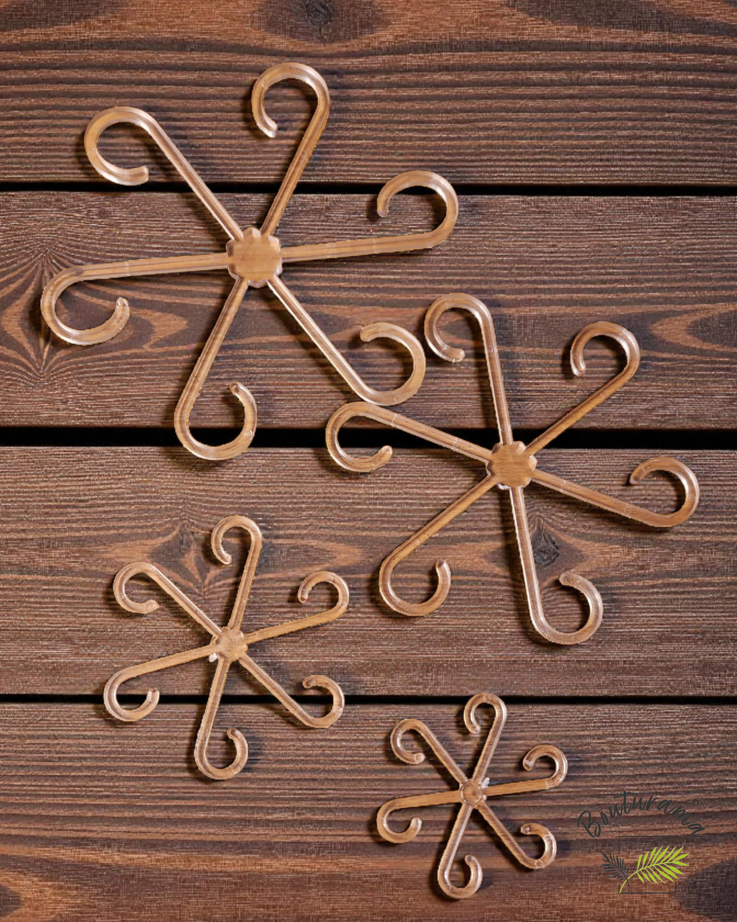 Support for Alocasia (Octopus)