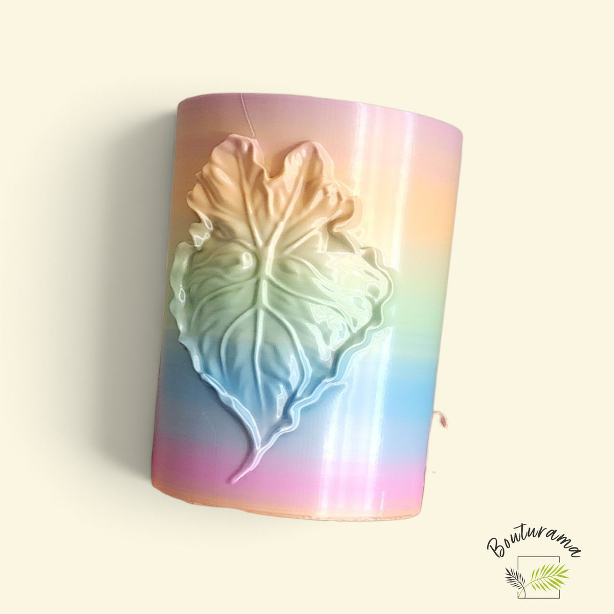 Feuille d'alocasia multicolore