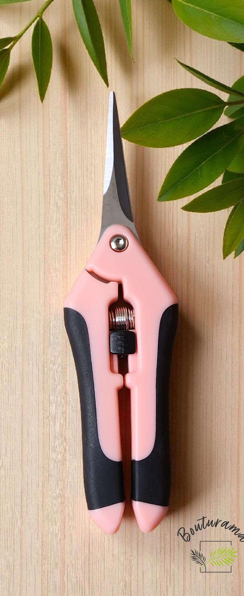 Ciseau à plante - Rose