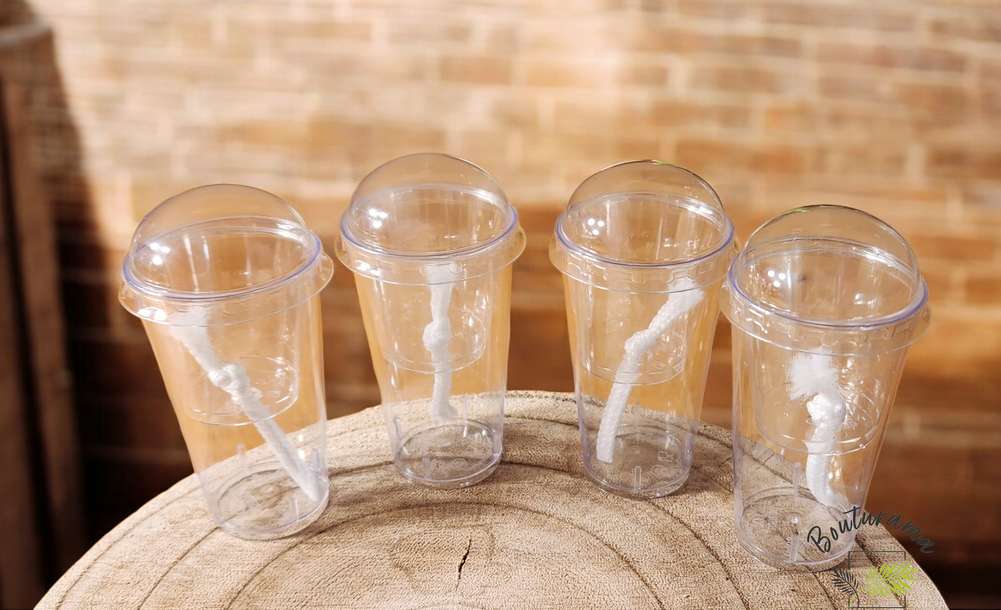 Pot semi-hydro / pour bulbilles d'alocasia